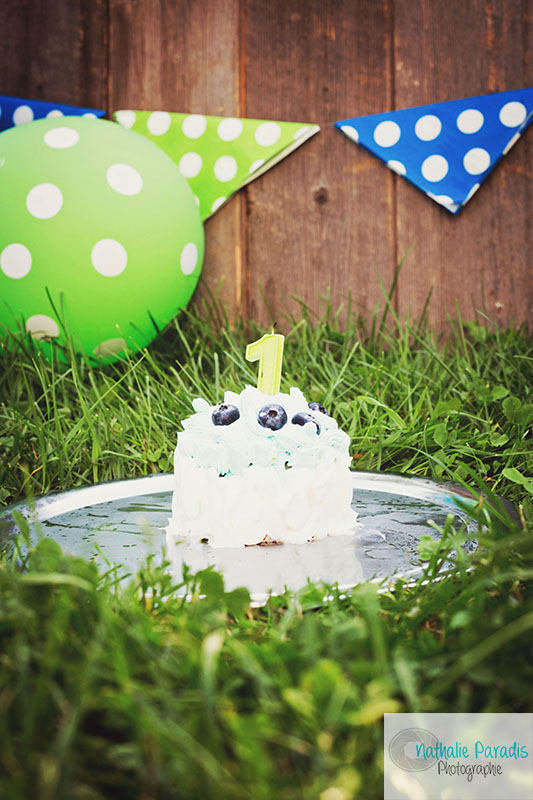 Nathalie Paradis Photographe ! Smash the cake