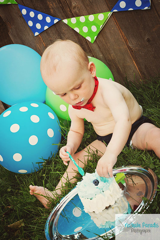 Nathalie Paradis Photographe ! Smash the cake